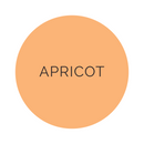 Shade Collection Apricot Dinner Plates