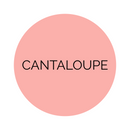 Shade Collection Cantaloupe Guest Napkins