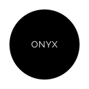 Shade Collection Onyx Large Napkins
