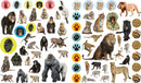 Eyelike Stickers: Wild Animals