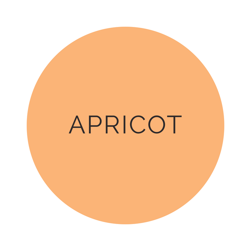 Shade Collection Apricot Dinner Plates