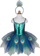 Pretty Peacock Dress & Headband (Size 5-6)