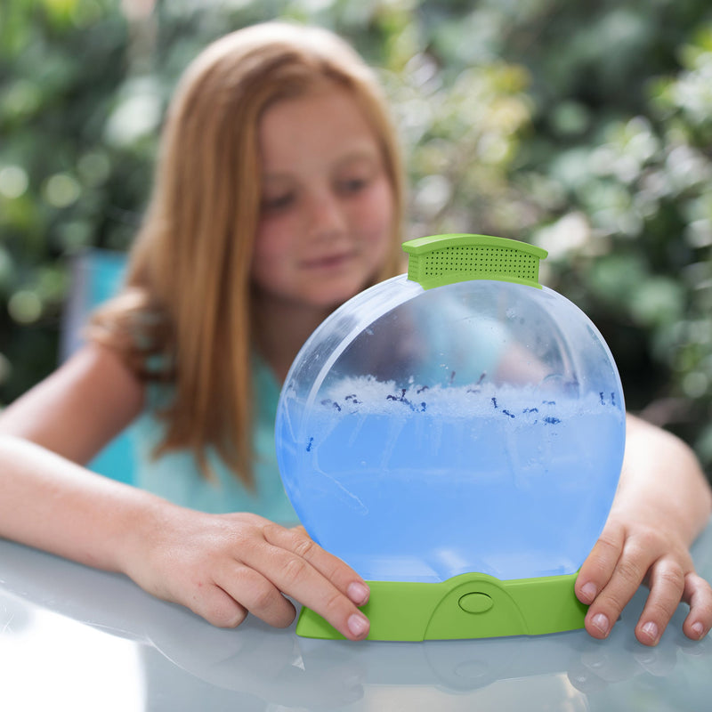 DAY 'N NIGHT ANT FARM