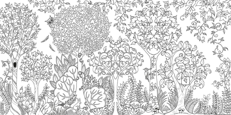 Enchanted Forest: An Inky Quest and Coloring book (Activity Books, Mindfulness and Meditation, Illustrated Floral Prints)