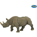 Black Rhinoceros