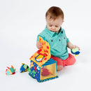 Put & Peek Birdhouse