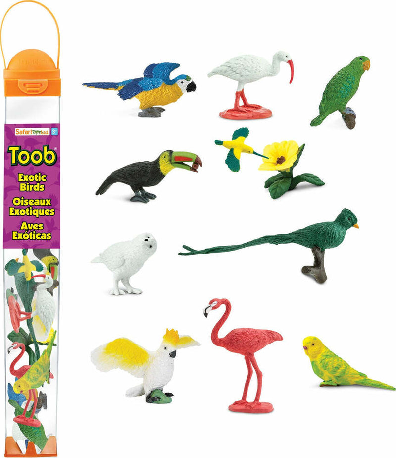 Exotic Birds TOOB®