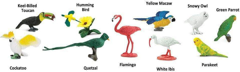 Exotic Birds TOOB®