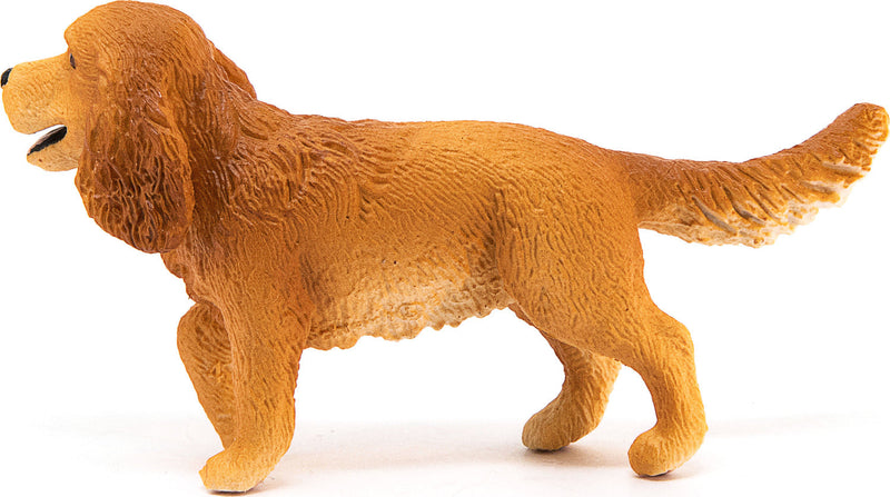 English Cocker Spaniel