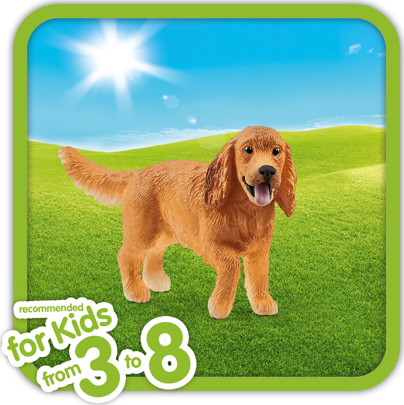 English Cocker Spaniel