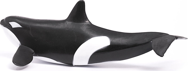 Killer Whale