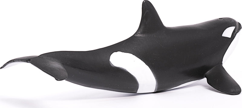 Killer Whale
