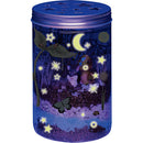 glow n grow terrarium