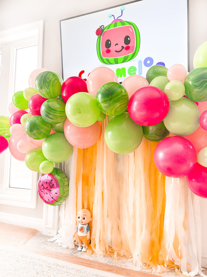 CoComelon Birthday Party DIY Balloon Garland Kit