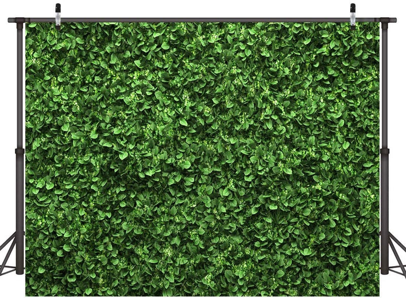 Greenery Print Boxwood Backdrop (5x7 Feet)