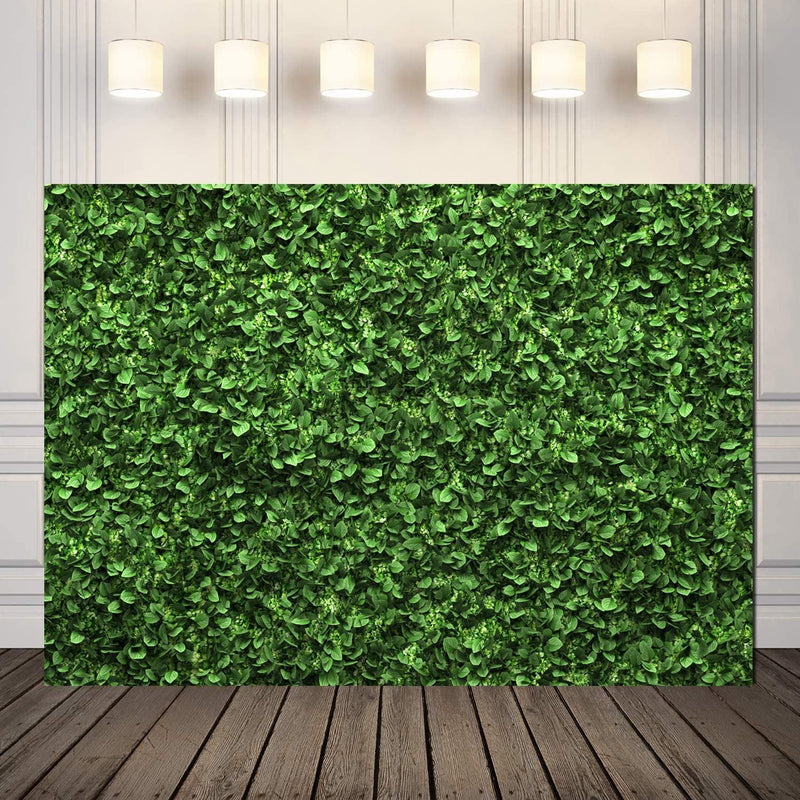 Greenery 5x7 Feet Boxwood Backdrop